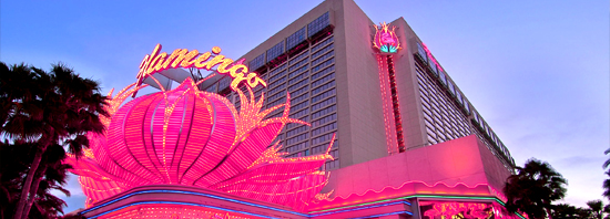 011Flamingo